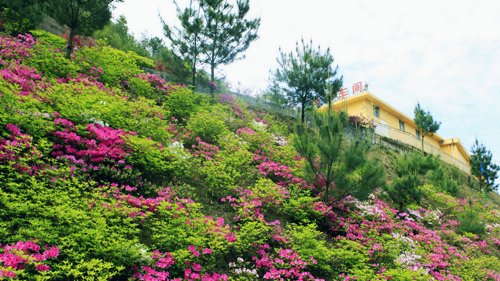 PA�콢��(�й���)����