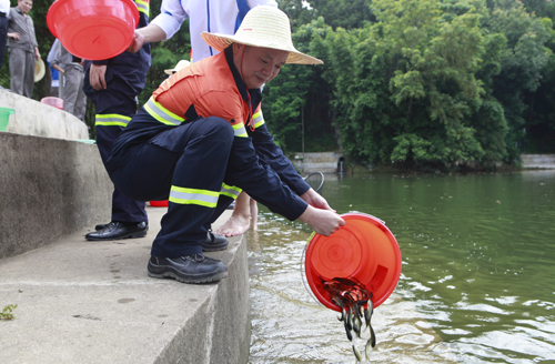 PA�콢��(�й���)����