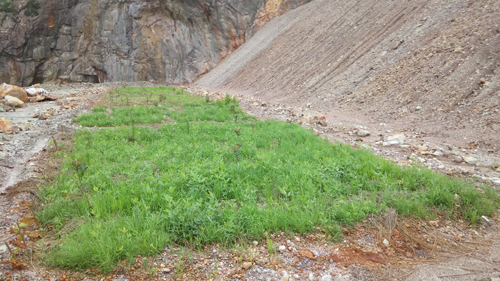 PA�콢��(�й���)����