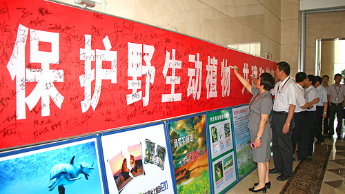 PA�콢��(�й���)����