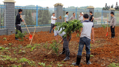 PA�콢��(�й���)����