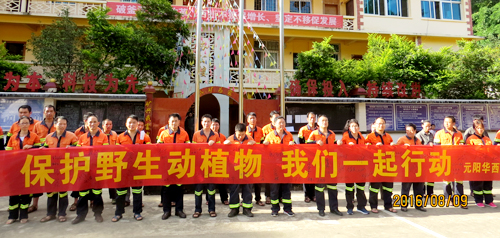 Ԫ���������С���������������Ұ����ֲ����������˶�