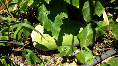 PA�콢��(�й���)����ɽ��ͭ��¶��ƽ̨�ֹϹ� ��ժ��ǧ��