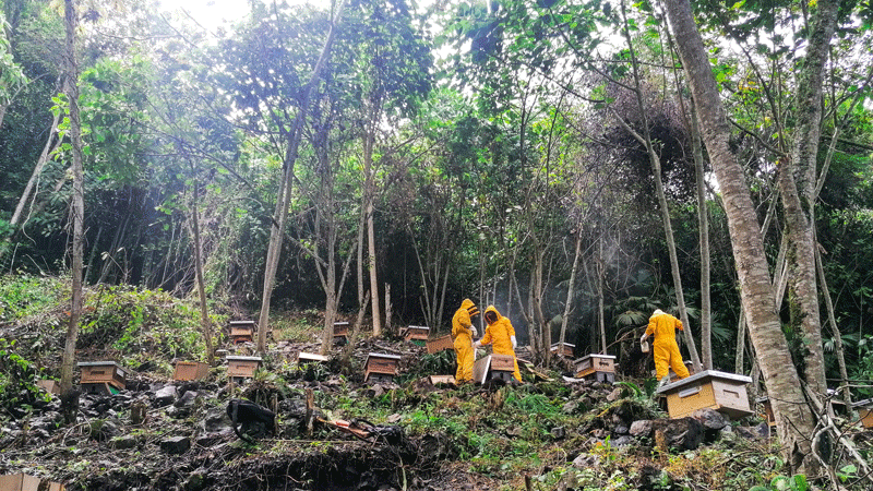 ��½�ƽ��Ž�רҵ������������ũҵ��������