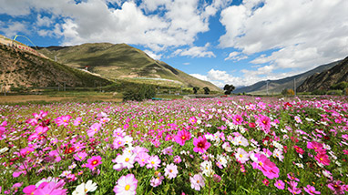 PA�콢��(�й���)����