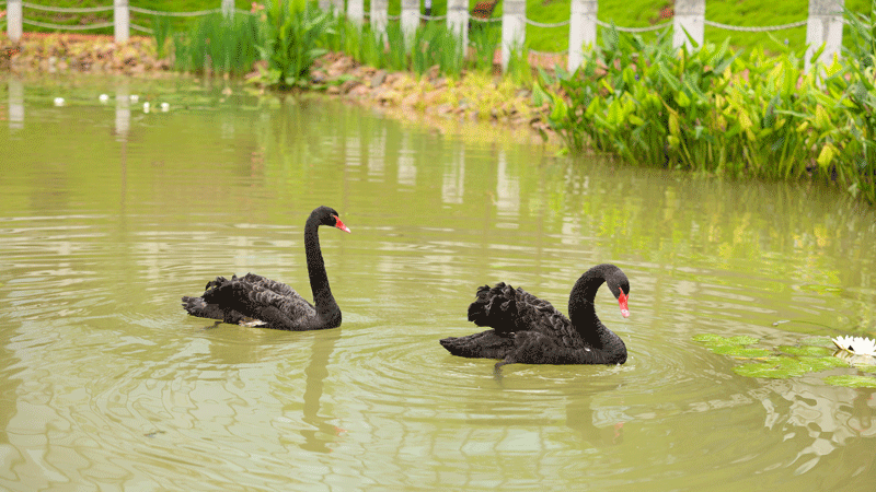 ��������PA�콢��(�й���)������ѧһ�Ժ����