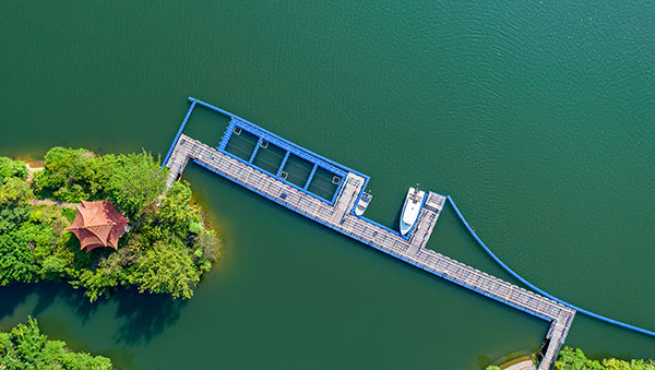 PA�콢��(�й���)����