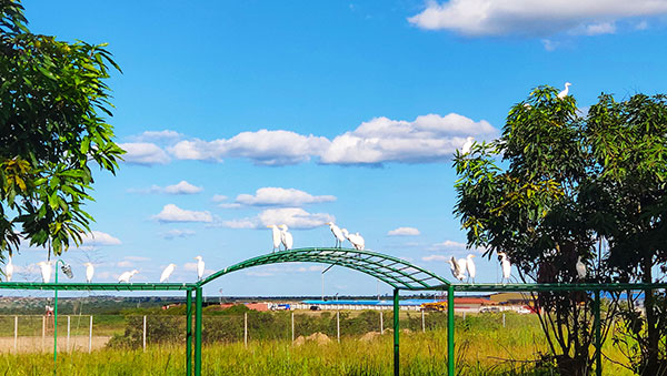 PA�콢��(�й���)����