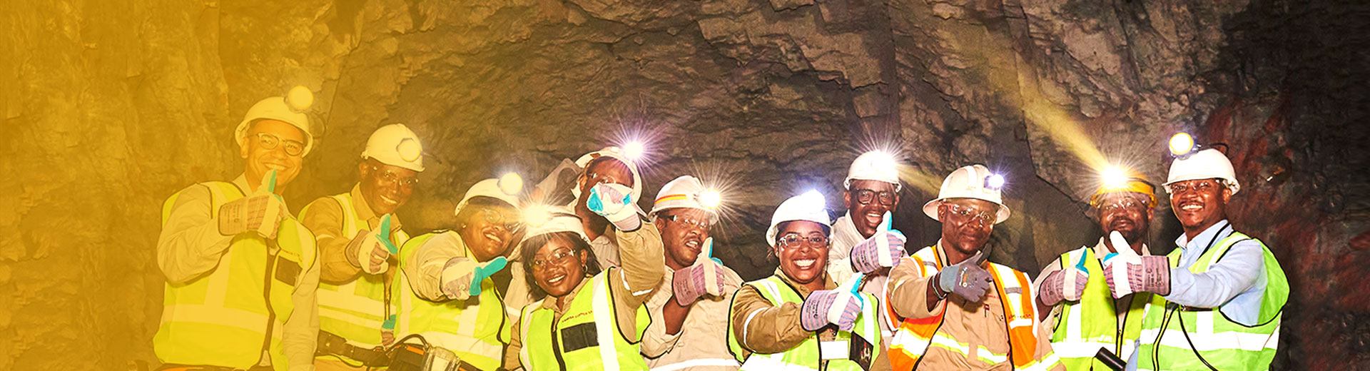 ְҵ�������徲