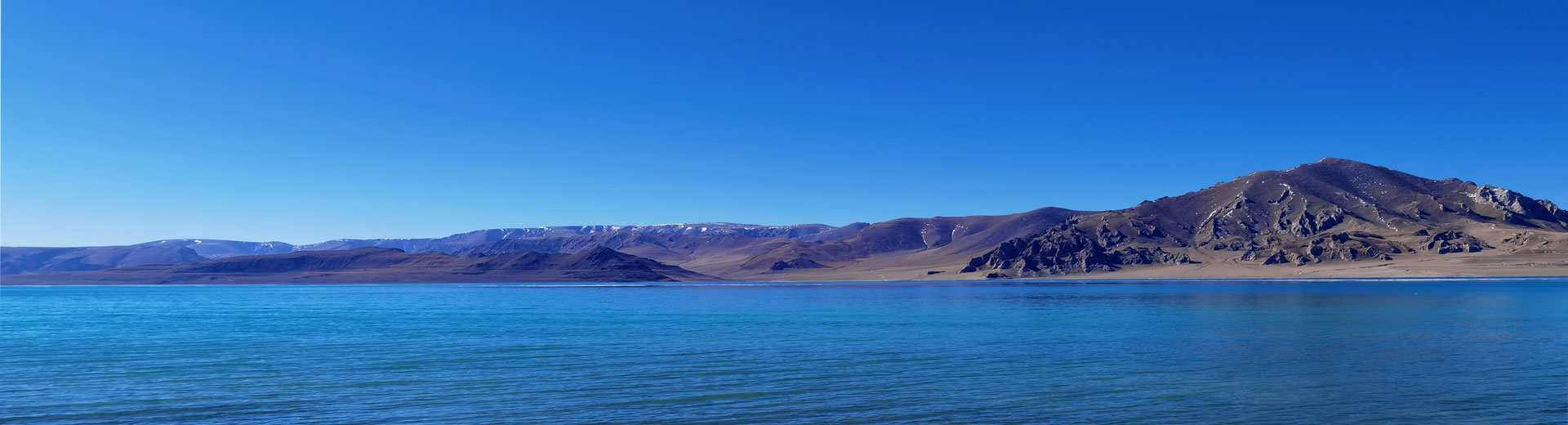 ��˾����