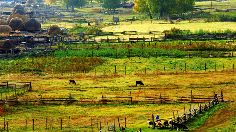 PA�콢��(�й���)����