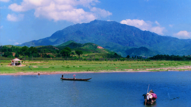 �Ƽ�����