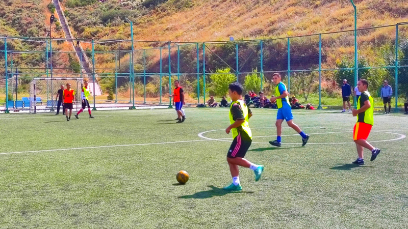 ������˹��ͬ����֯���������걭�������˶�