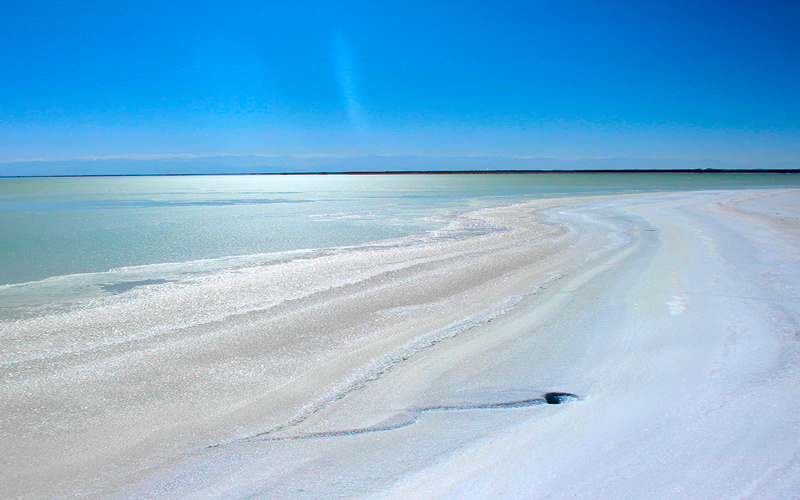 PA�콢��(�й���)���ſ�ҵ���뺣�ڿ���ṹ ��137��Ԫ����ظ��ҵ����Ȩ